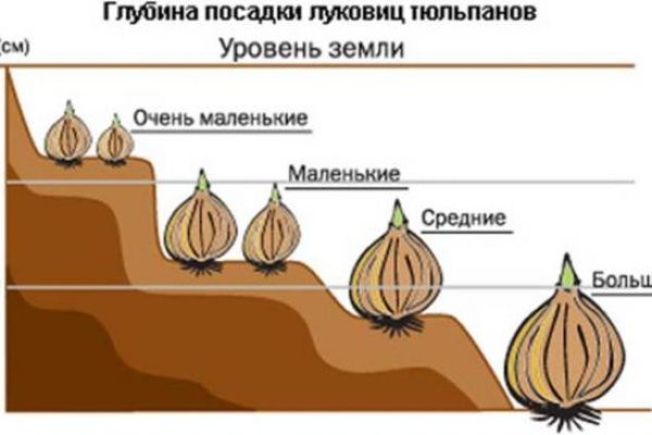 Зарегистрироваться на сайте кракен