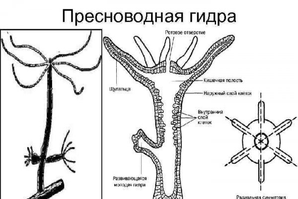 Как зайти на маркетплейс кракен